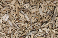 biomass boilers Lumby
